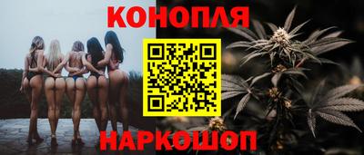 гашик Краснознаменск