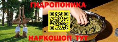 гашик Краснознаменск