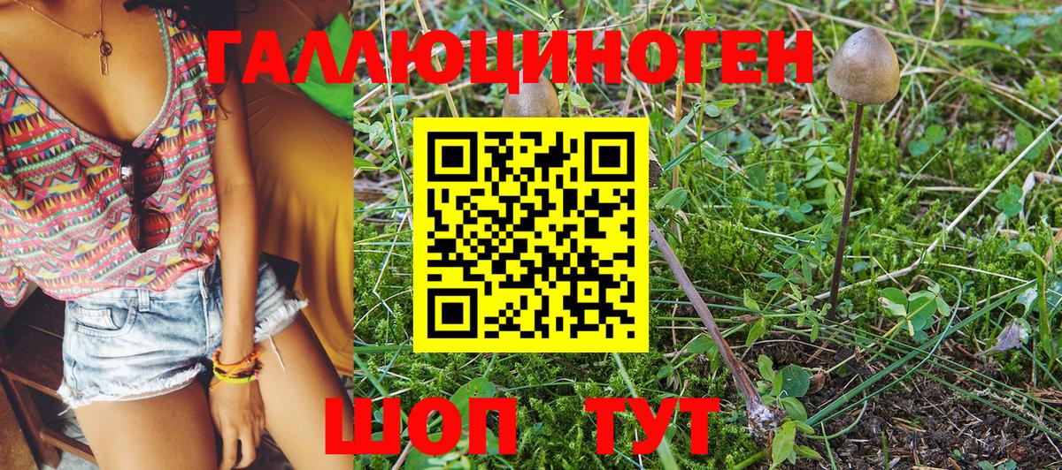 Кисловодск  Псилоцибиновые грибы Magic Shrooms  Вход с VPN 