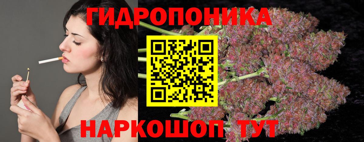МАРИХУАНА семена Кисловодск